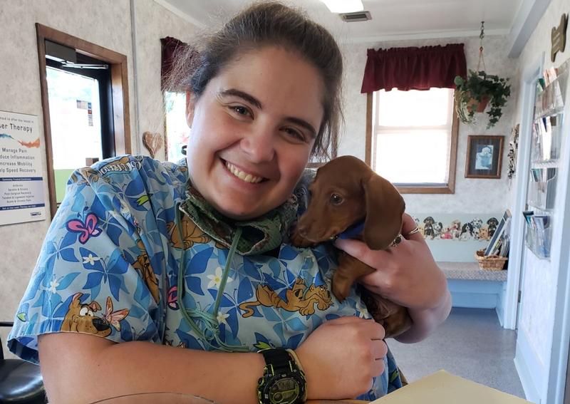 The Veterinary Clinics, Berlin Berlin veterinarians